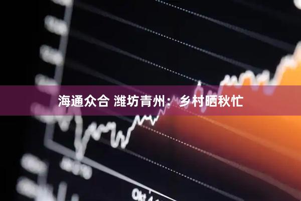 海通众合 潍坊青州：乡村晒秋忙