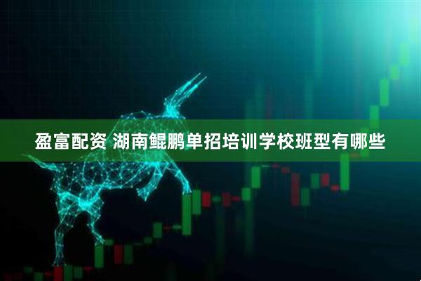 盈富配资 湖南鲲鹏单招培训学校班型有哪些