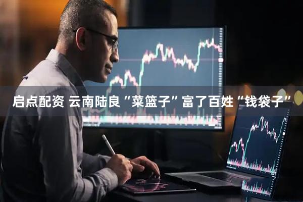 启点配资 云南陆良“菜篮子”富了百姓“钱袋子”