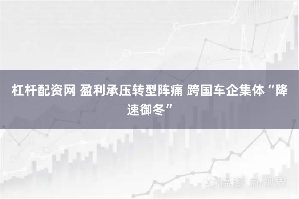 杠杆配资网 盈利承压转型阵痛 跨国车企集体“降速御冬”