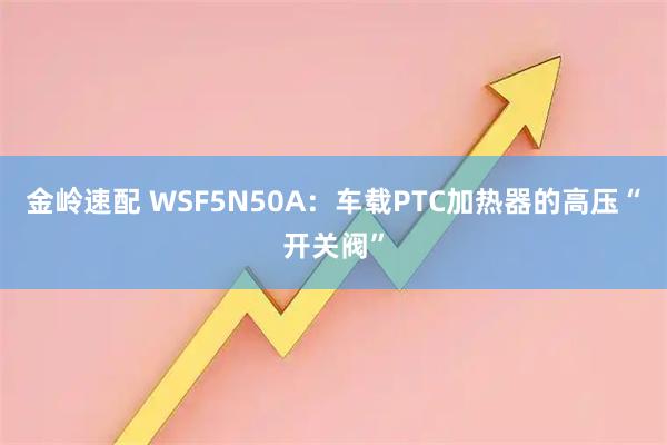 金岭速配 WSF5N50A:车载PTC加热器的高压“开关阀”