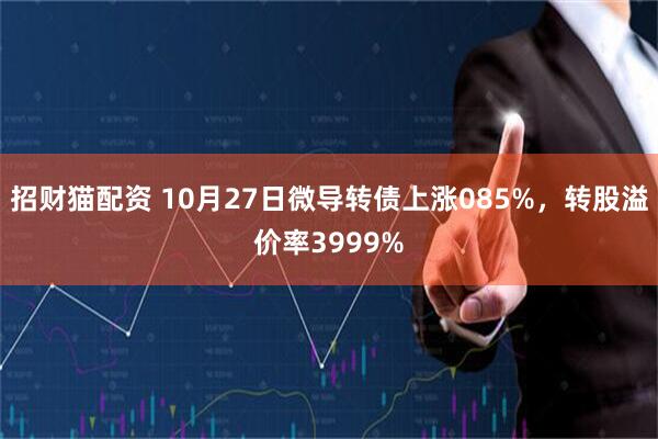招财猫配资 10月27日微导转债上涨085%,转股溢价率3999%